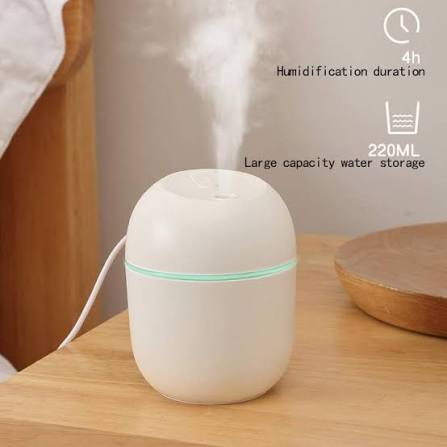 Mini Cute Air Humidifier With RGB Light | Mute Humidifier For Room & Office | 220ML Water Capacity